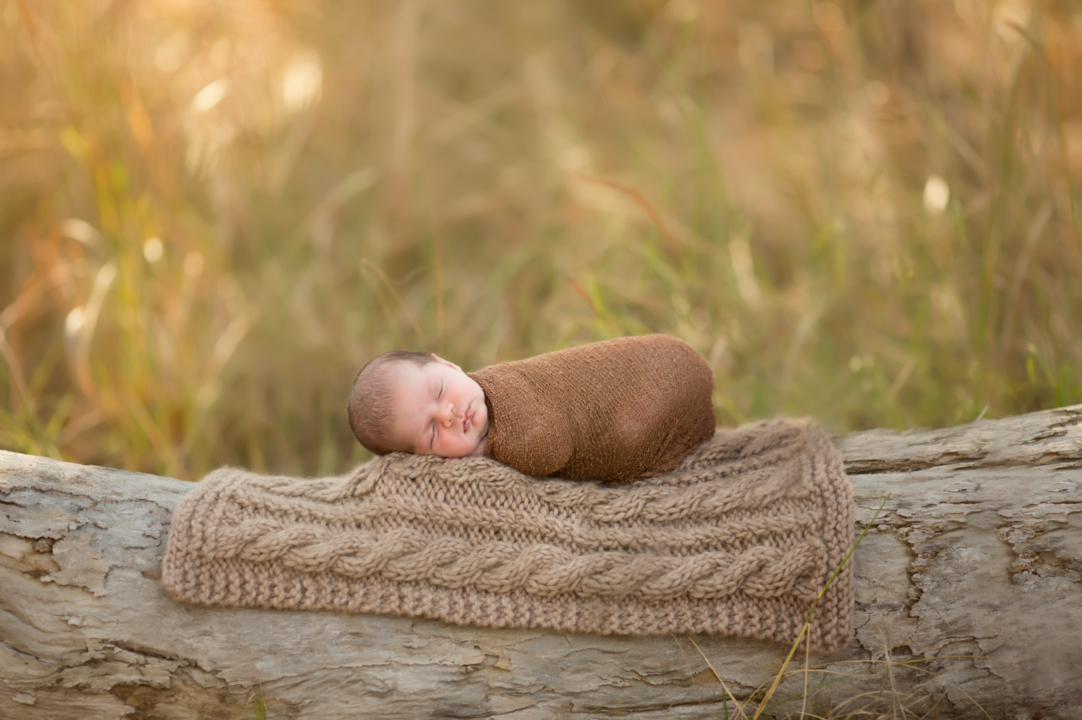 newbornphotosbrisbane10(pp_w1532_h1020)