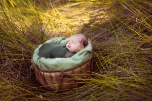 outdoor bush baby newborn photos