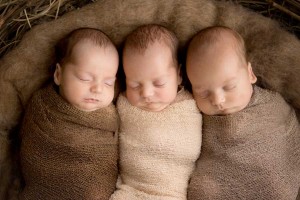 triplet newborn photos brisbane