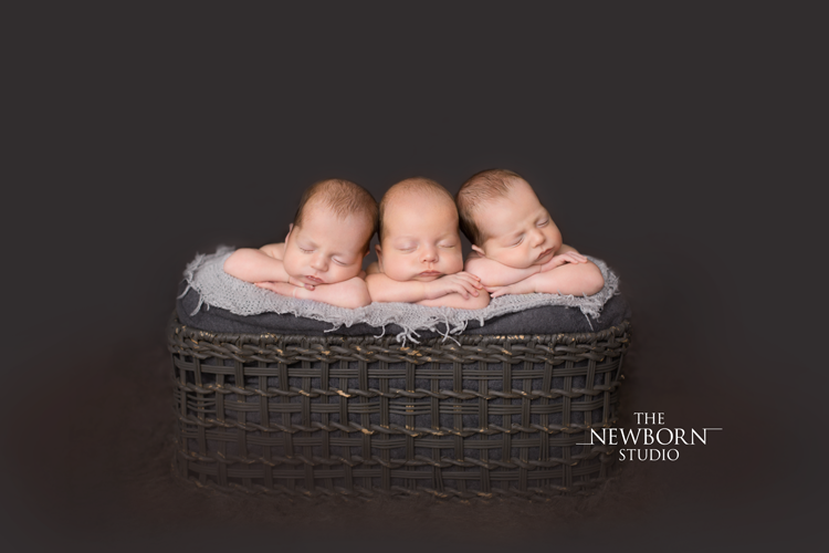 australia brisbane sydney multiple newborn triplet photographer