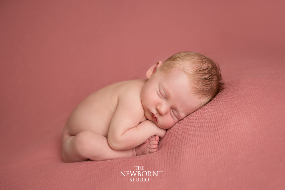 brisbane photographer newborn