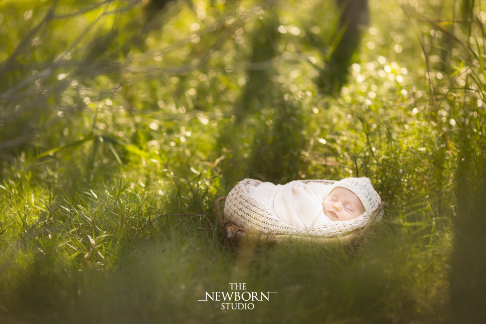 brisbane premier outdoor newborn photographer