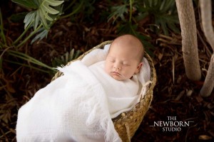 brisbane northside outdoor newborn photographer