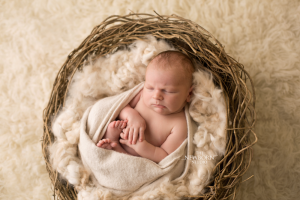 brisbane baby photography nest