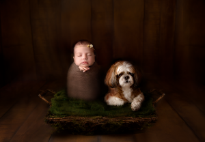 newborn baby dog photographer