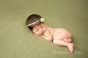 baby photographer brisbane green newborn