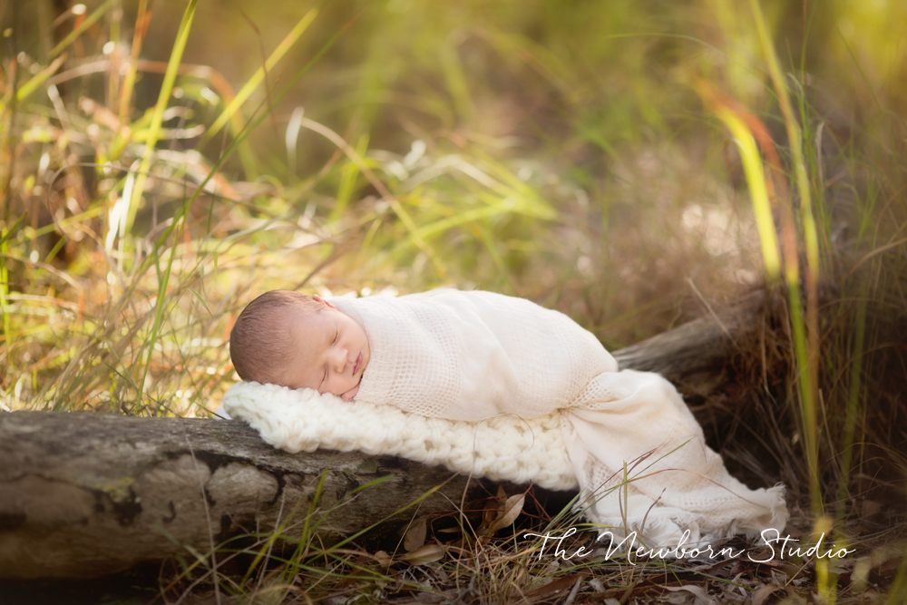 newborn baby outdoors on log brisbane