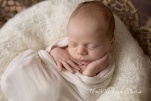 newborn baby boy studio photographer