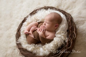 baby boy brown cream nest