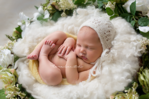 brisbane newborn photos
