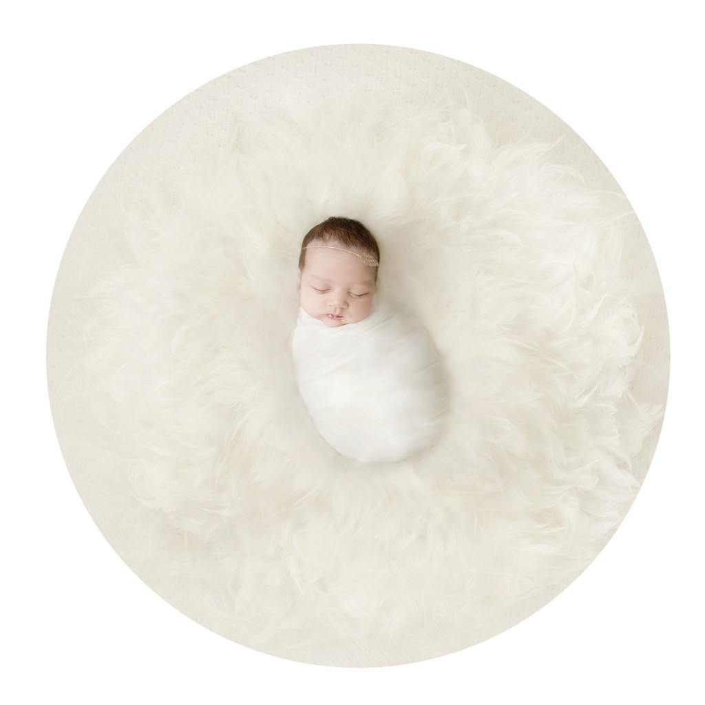 baby newborn girl feather studio