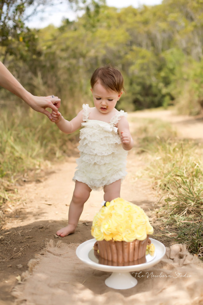 bee cake outdoors cake smash