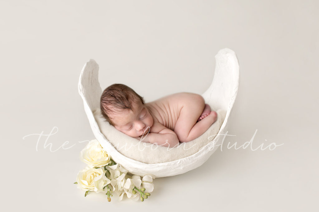 newborn digital background