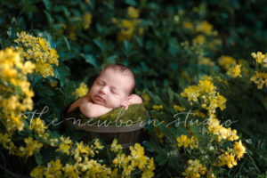 newborn baby digital backdrop outdoors floral