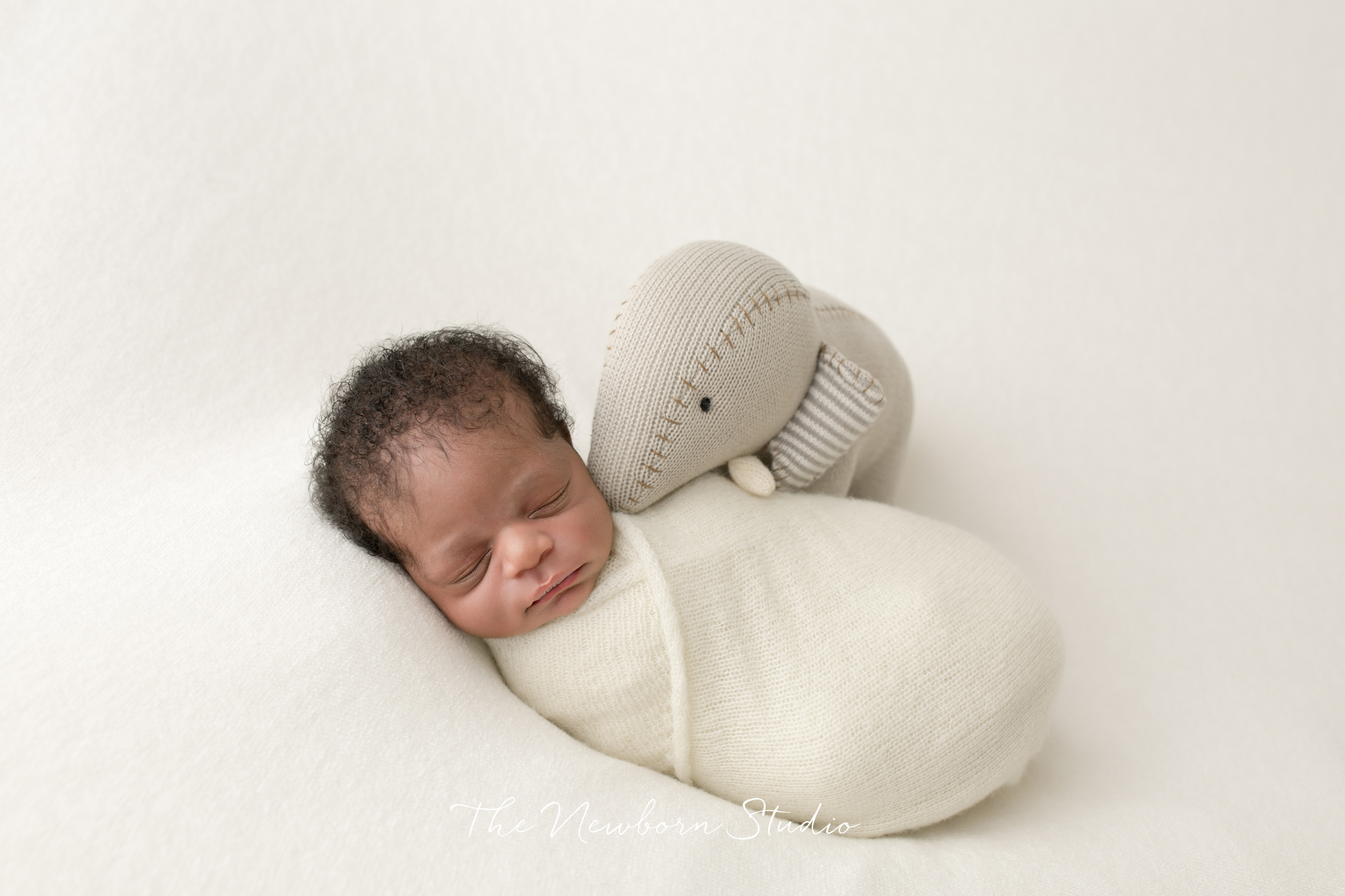 the family newborn photographer