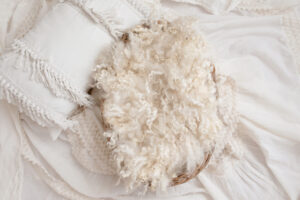 newborn digital composite