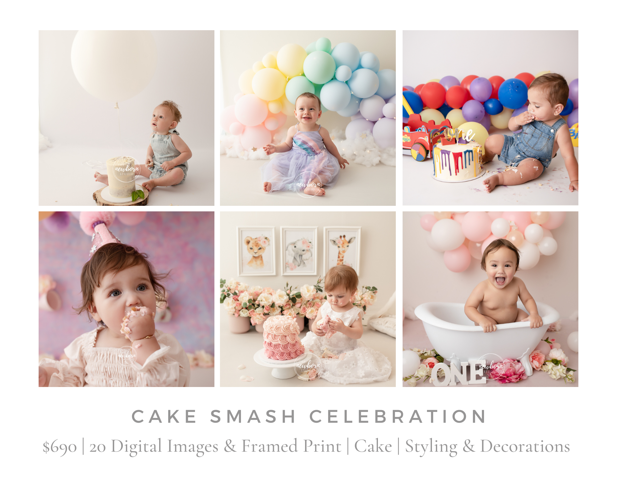 Raleigh One Year Old Cake Smash