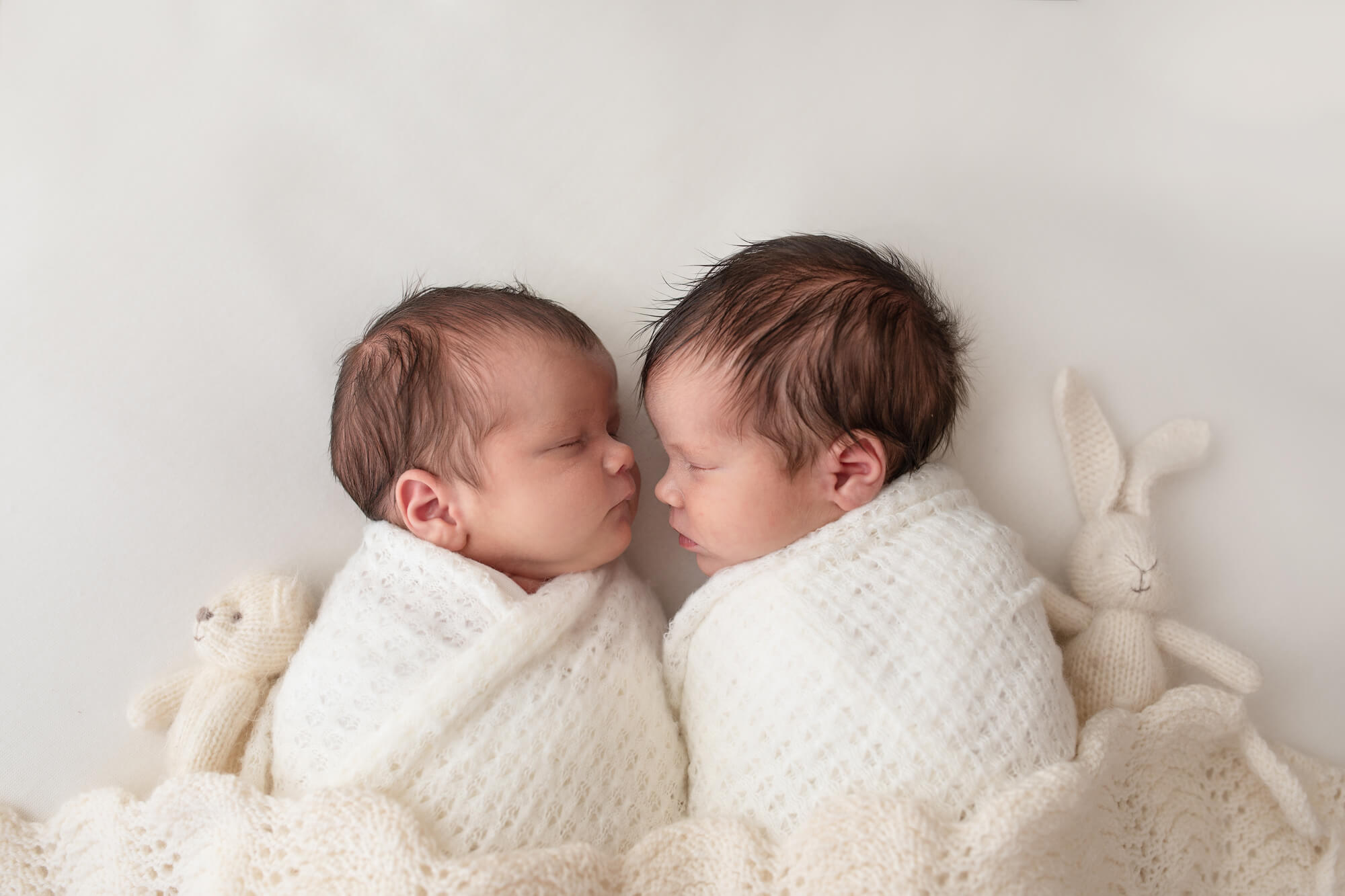 twin newborn photography brisbane